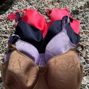 Cacique Bras in Vibrant Pink, Soft Purple, Classic Navy, and Warm Brown